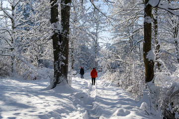 WINTER in Bad Wörishofen Unterallgäu 2023