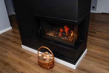 Pieces of birch wood standing in a wicker basket next to a modern fireplace with a closed combustion chamber and a corner glass.