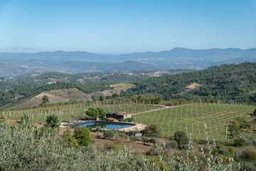 Oásis Rural entre montes, montanhas algumas macieiras: Uma quinta encantadora na natureza selvagem