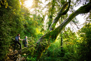 Hikers on a Sunlit Path Through a Mossy Forest in Southern Albania