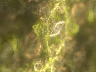 Imaginatory fractal abstract background Image