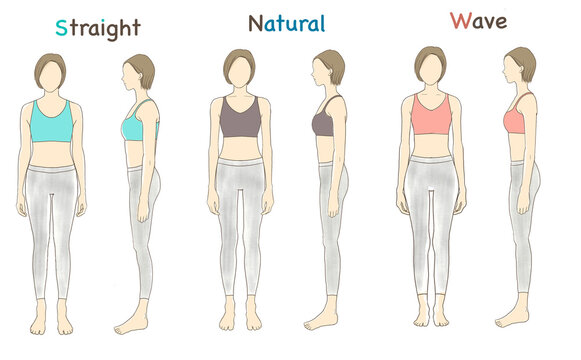 Illustration of three most common Asian women’s body type