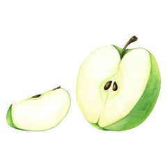 A half and slice of green apple. Hand drawn botanical watercolor illustration isolated on white background. For clip art, cards, menu