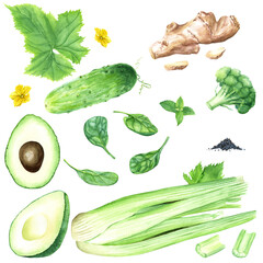 A set of vegetables and seeds for green cocktail or smoothie. Hand drawn watercolor food illustration isolated on white background. For clip art cards menu label package