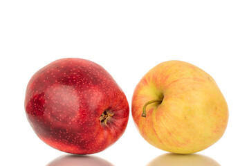 Two ripe juicy apples, macro, isolated on white background.