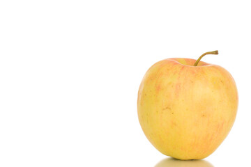 One ripe juicy apple, macro, isolated on white background.