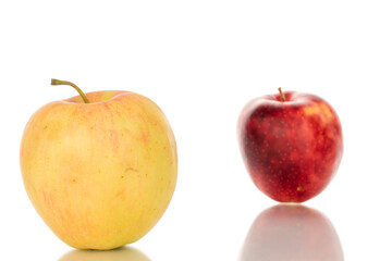 Two ripe juicy apples, macro, isolated on white background.