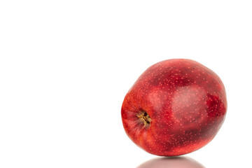 One ripe juicy apple, macro, isolated on white background.
