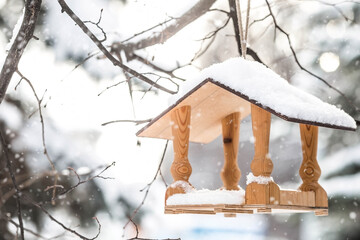 Winter. Snow is falling. A wooden bird feeder is hanging on a tree branch in the park. Feeding...