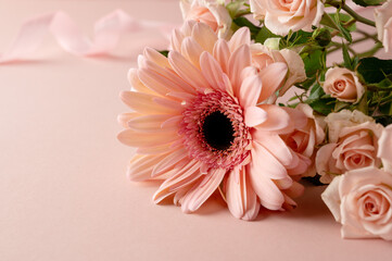 Gerbera fresh flower closeup over pink background. Feminine greeting card