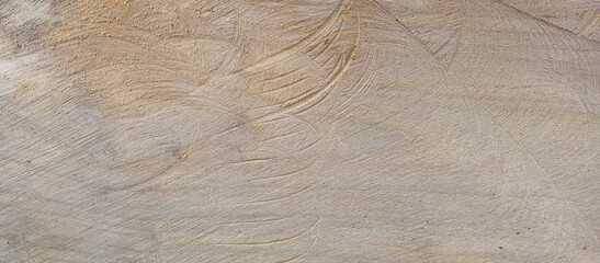 abstract natural wood background texture