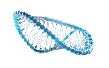 DNA Structure On Transparent Background