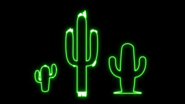 neon cactus video, christmas, transparent background