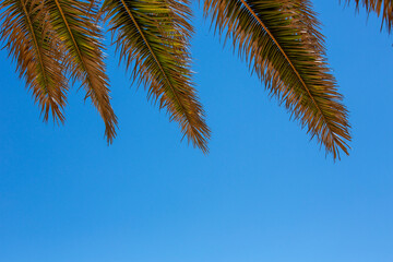 Céus, nuvens e por do sol