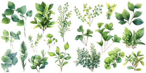Tuinposter  Green plant watercolor illustration clipart. Generative AI © Dian