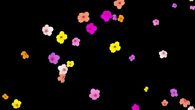 Falling colorful flowers on plain black background