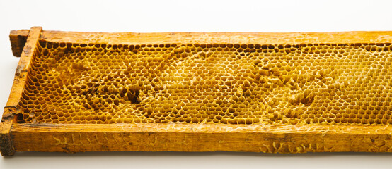 Honeycomb with honey drop on white background
