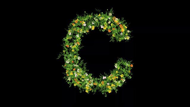 English alphabet C with grass and colorful flowers on plain black background