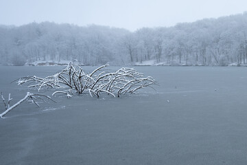 Black benches frozen in ice of winter lake or river. Snow trees in forest on bank