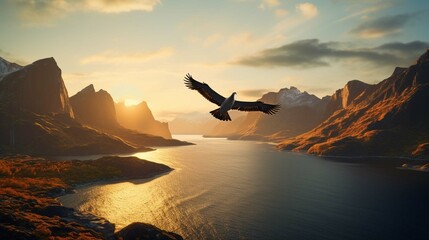 
Sea bird flying over the silhouetted mountains with the golden light of sunrise shining on the Western Fjords of Kalaallit Nunaat; West Greenland, Greenland - obrazy, fototapety, plakaty