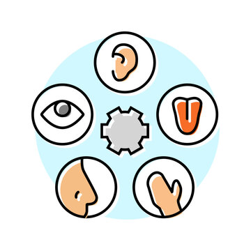 sensory integration occupational therapist color icon vector. sensory integration occupational therapist sign. isolated symbol illustration