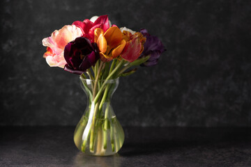 Colorful tulips in a bouquet with pink, red, yellow flowers in a vase. Dark background, copy space