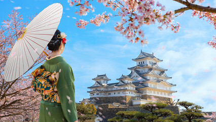 Young Japanese Woman in a Traditional Kimono Dress at Himeji Castle in Hyogo during Full Bloom Cherry Blossom Season - 690177968