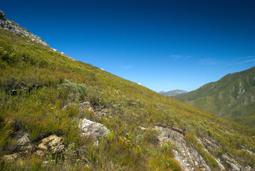 Fototapeta na wymiar landscape of the Outeniqua mountains in the cape floral, fynbos biome in South Africa