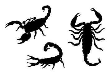 Set of scorpion silhouettes. Vector illustration - obrazy, fototapety, plakaty