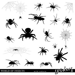 Silhouettes of spiders and spiderweb. Vector illustration.
