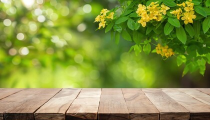 Empty wood table and jiaogulan trees on bokeh nature background