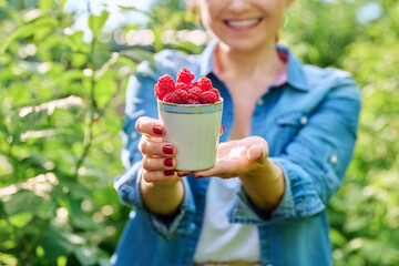 Close-up of cup with ripe raspberries in hands of woman in summer garden