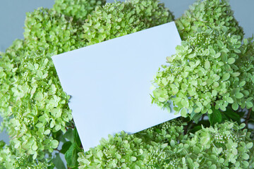 Mockup Blank Card, For Name Place, Folded, Greeting, Invitation With Hydrangea Flowers On Grey Background