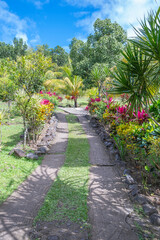 Jardins de la Savane aux esclaves aux 3 îlets, Martinique. Jardins exotique des Antilles...