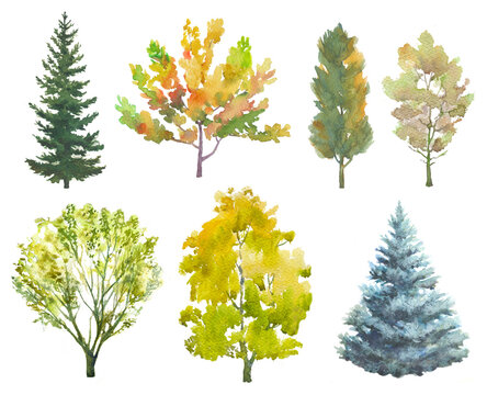 Set of hand drawn trees with summer and autumn colors, on white background