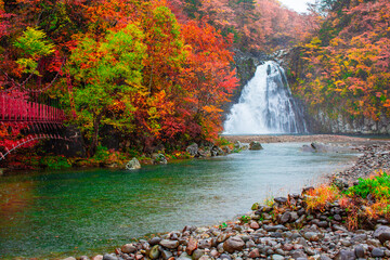 A large waterfall filled with colorful leaves When it was raining in Yurihonjo City Akita Prefecture