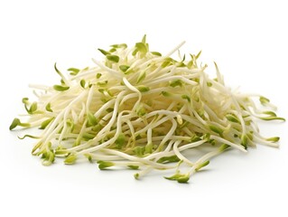 Bean sprouts isolated on white background