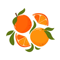 Whole and slices oranges with leaves. Set of citrus fruits. Summer vitamin vector illustration for banner, poster, flyer, banner, greeting card. Cartoon flat style.