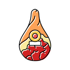 prosciutto ham italian cuisine color icon vector. prosciutto ham italian cuisine sign. isolated symbol illustration