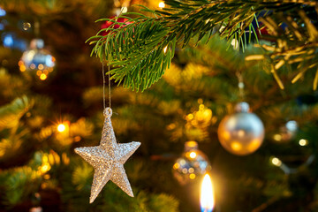 A star-shaped spruce tree decoration during Christmas in Poland