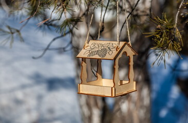 A woman's hand holds a bird feeder suspended from a pine tree, close-up in spring