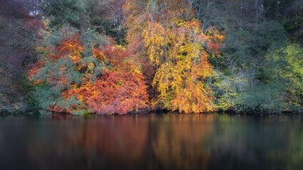 Beautiful trees and forest in vibrant autumn colours reflected in blurred waters of Liffey River. St. Catherines Park, Dublin, Ireland