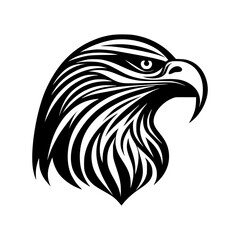 Fototapeta na wymiar eagle head illustration