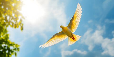 A Free White Dove , Graceful White Dove in sky - obrazy, fototapety, plakaty