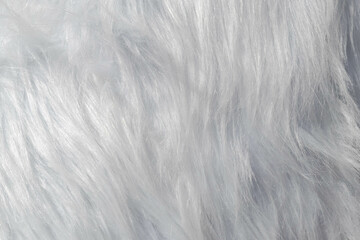 white fur texture. Pink sheepskin background. texture of white shaggy fur. Wool texture.