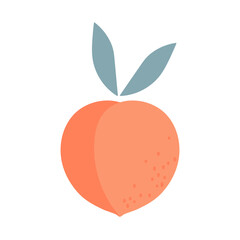 Flat icon fresh peach fruit isolated on white background. Farmer Market Logo. Organic tropical food template for menu, juice label, apricot products, fruit website, banner. Pink healthy sweet fruit