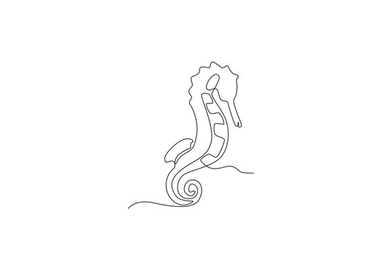 Single continuous line drawing of seahorses for aquatic logo identity. Beautiful mascot concept for under water show icon. One line draw graphic design vector illustration
