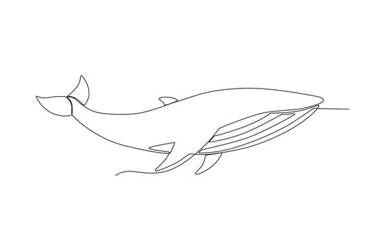 Single continuous line drawing of shale for aquatic logo identity. Beautiful mascot concept for under water show icon. One line draw graphic design vector illustration
