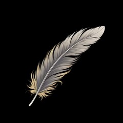 Beautiful Feather illustration