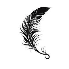 Obraz premium Beautiful Feather illustration